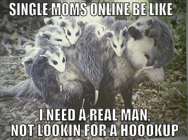 meme of texts that says "single-moms-online-be-like-need-real-ma"n-not-lookin-hoookup